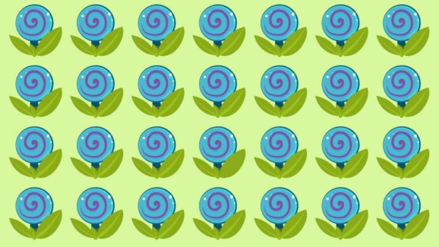 Optical Illusion: Only Genius Can Find the Hidden Candy Among the Blue Flowers within 10 seconds?