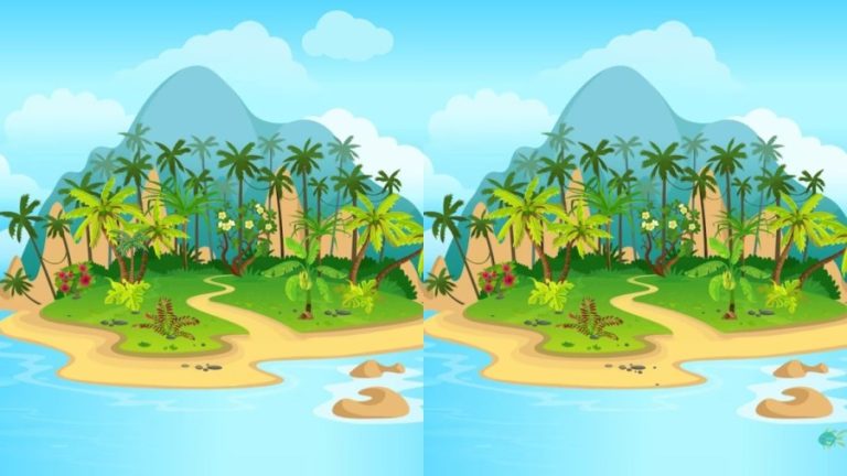 Brain Teaser: How Many Differences Can You Spot Between These Two Images?