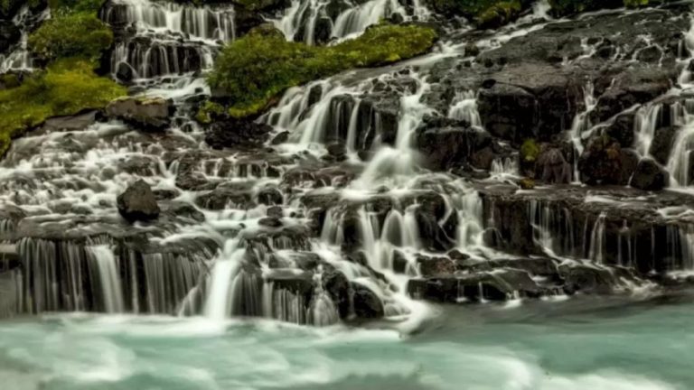 Bear Search Optical Illusion: You Need To Look Twice To Locate The Bear In This Waterfall. Give It A Try