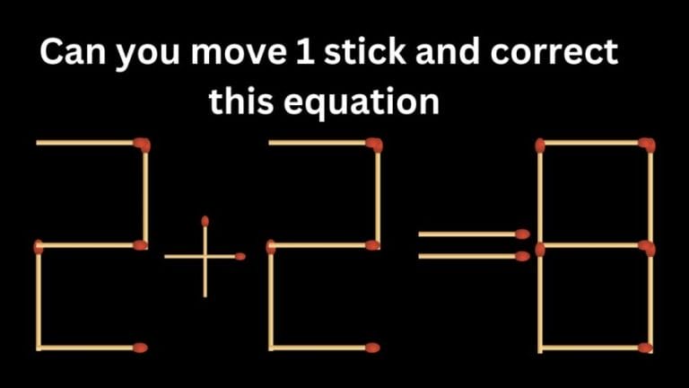 Brain Teaser: 2+2=8 Can you move 1 stick and correct this equation || Matchstick Puzzle