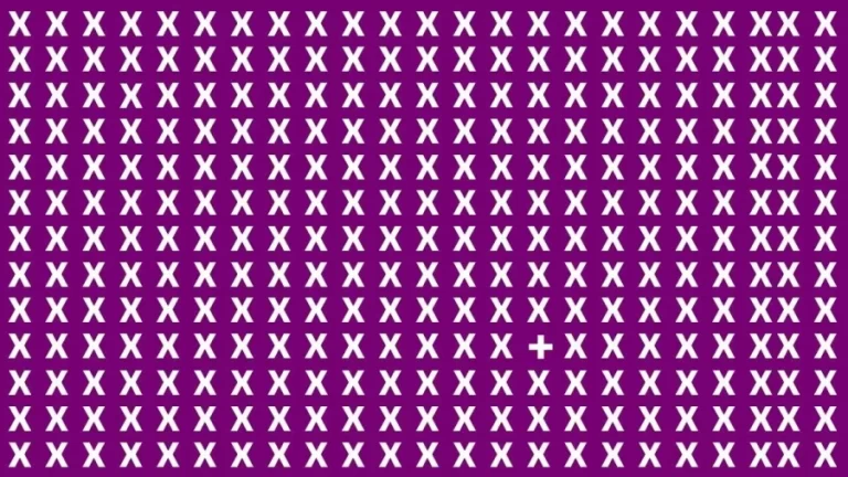 Brain Teaser: Can You Find + Symbol Among the X within 15 secs?