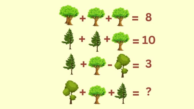 Brain Teaser: Can You Solve This Tree Math Puzzle?