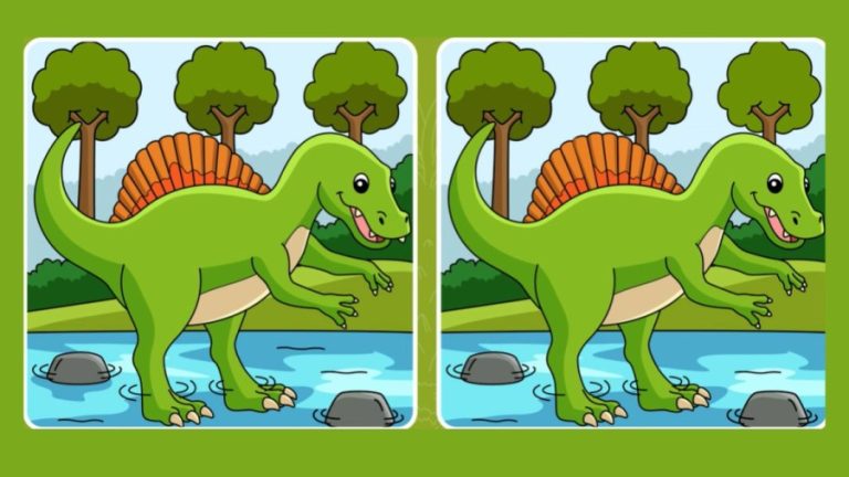 Brain Teaser: Can You Spot 5 Differences Between These Two Images In 20 Secs?