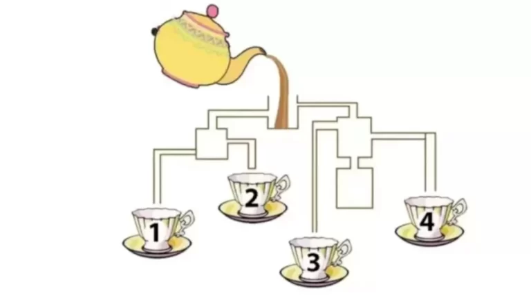 Brain Teaser: Find Out Which Cup Will Fill First In Picture In 20 Secs – Maths Puzzle