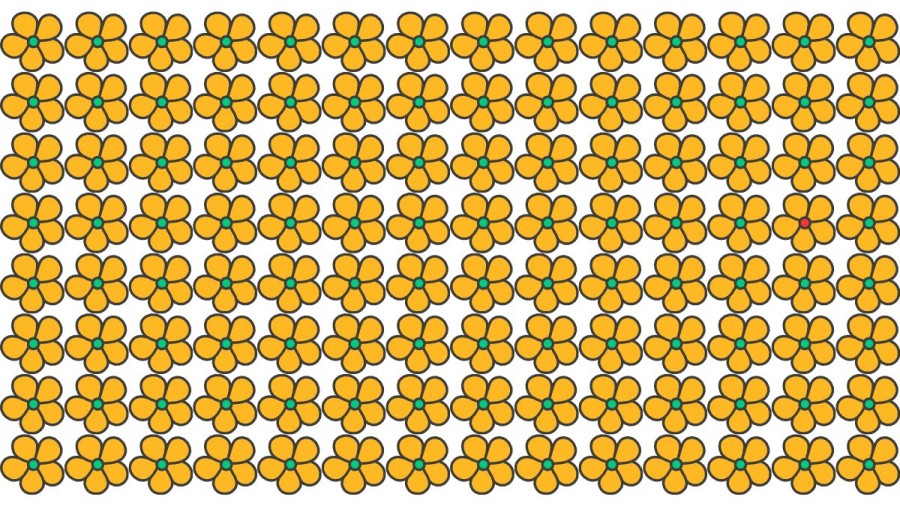 Brain Teaser For Sharp Eyes: Can You Spot The Odd One Out In 20 Secs?