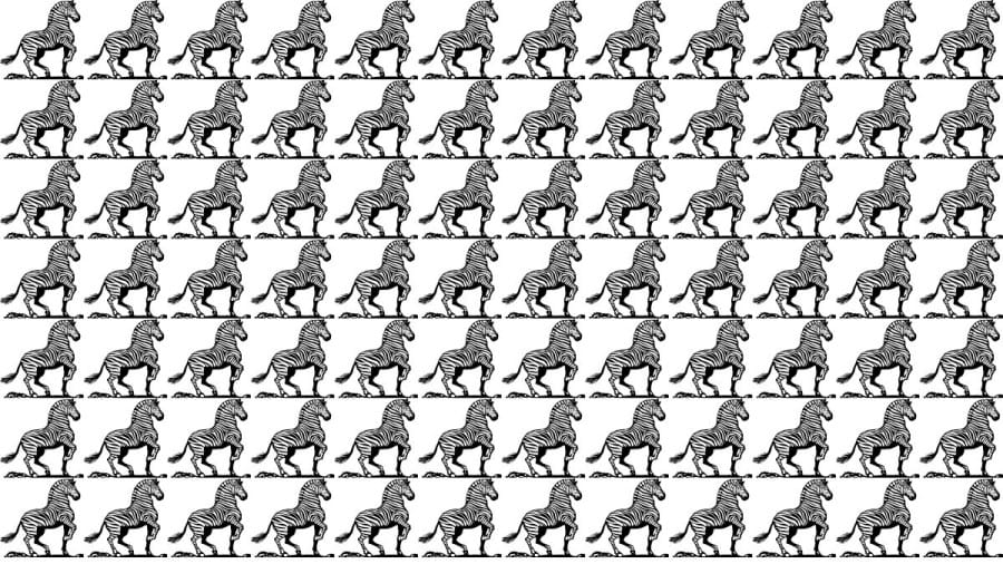 Brain Teaser: If You Have Eagle Eyes find 3 legs within 15 Seconds?