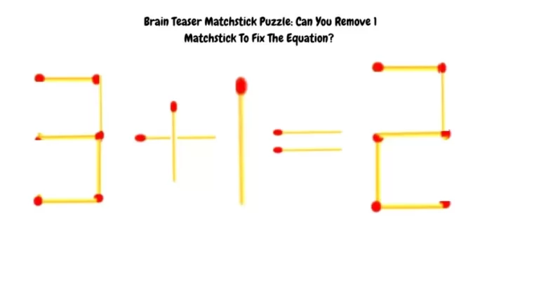 Brain Teaser Matchstick Puzzle: Can You Remove 1 Matchstick To Fix The Equation?