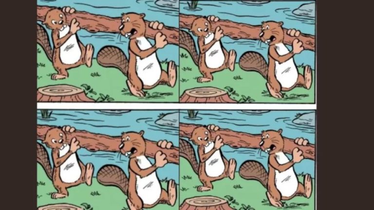 Brain Teaser Picture Puzzle: Can You Spot the Difference Between These Two Images?