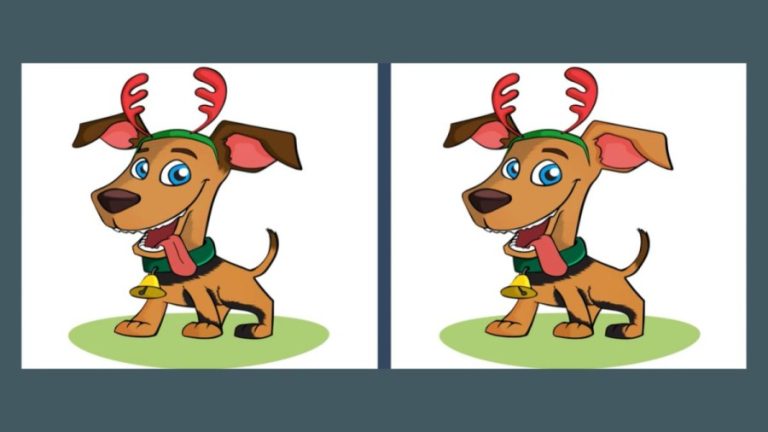 Brain Teaser Picture Puzzle: Can You Spot 3 Differences Between The Two Pictures?