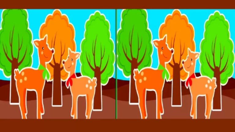 Brain Teaser Picture Puzzle – Spot 3 Differences Between These Two Images