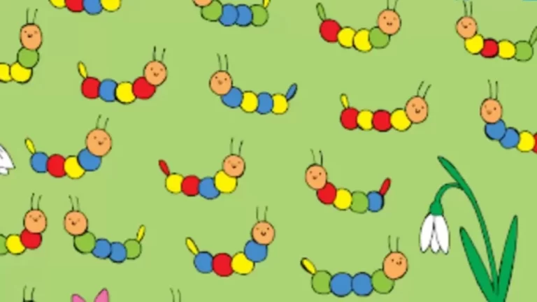 Brain Teaser Picture Puzzle: Which Caterpillar Doesnt Have A Pair?