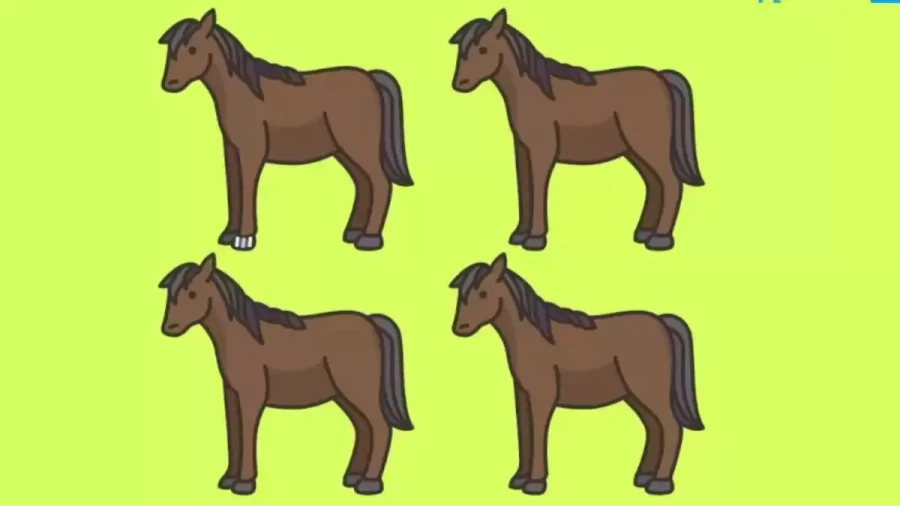 Brain Teaser Today: Find The Odd One Out From These Horses In 15 Seconds – Picture Puzzle