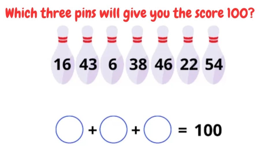 Brain Teaser Tricky Puzzle – Which three pins will give you the score 100?