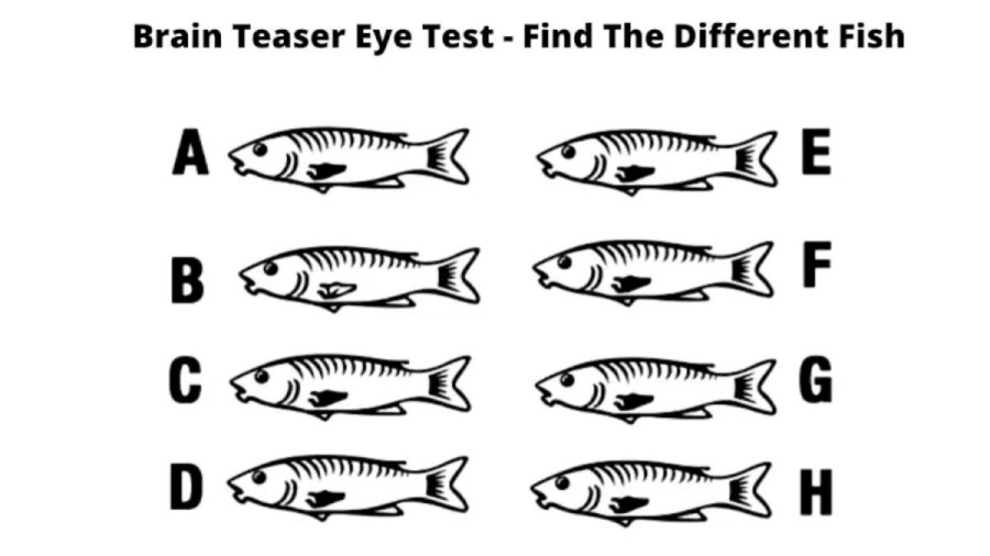 Brain Teaser Visual Test – Find The Different Fish