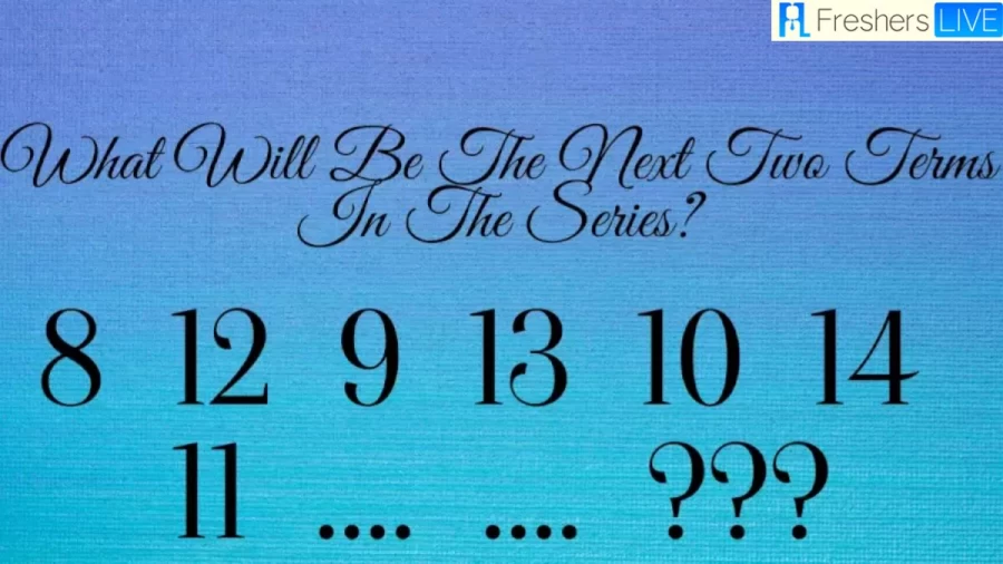 Brain Teaser: What Will Be The Next Two Terms In The Series?