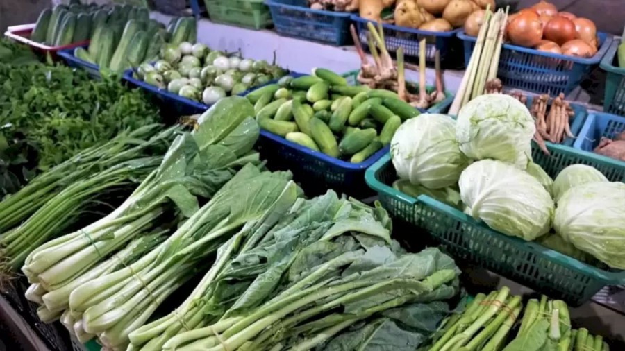 Can You Find a Bee Hidden Among the Vegetables in 10 Seconds? Explanation and Solution to the Optical Illusion