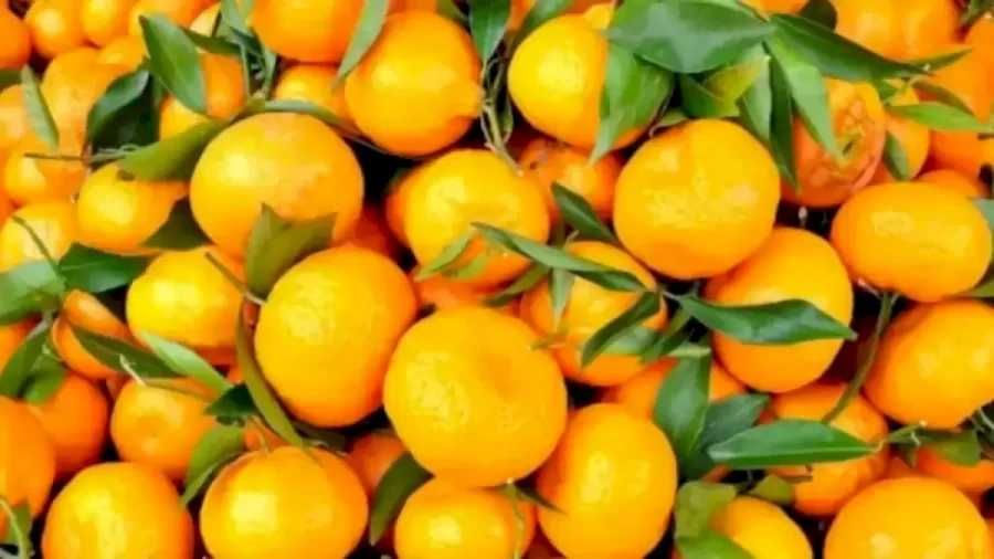 Can You Spot The Hidden Flower Amid These Tangerines Within 18 Seconds? Explanation And Solution To The Hidden Flower Optical Illusion