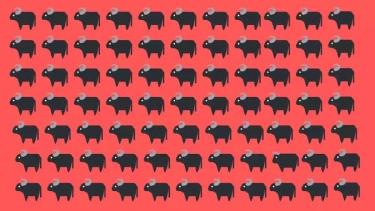 Can you find a Bull Hiding among Buffaloes within 14 Seconds – Explanation and Solution to the Optical Illusion