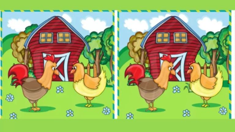 Find The Difference – Can You Find 10 Differences Between These Two Pictures In 30 Secs? Brain Teaser