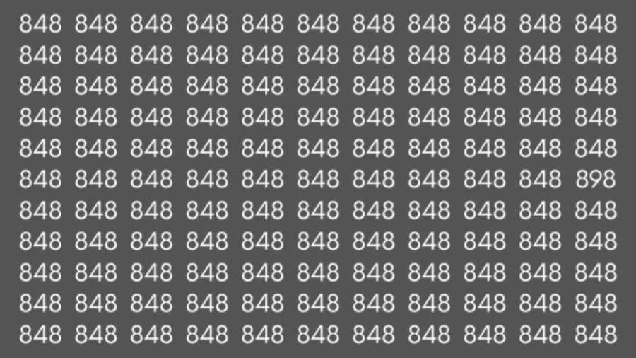 Observation Skills: Can you find the number 898 among 848 in 10 seconds?