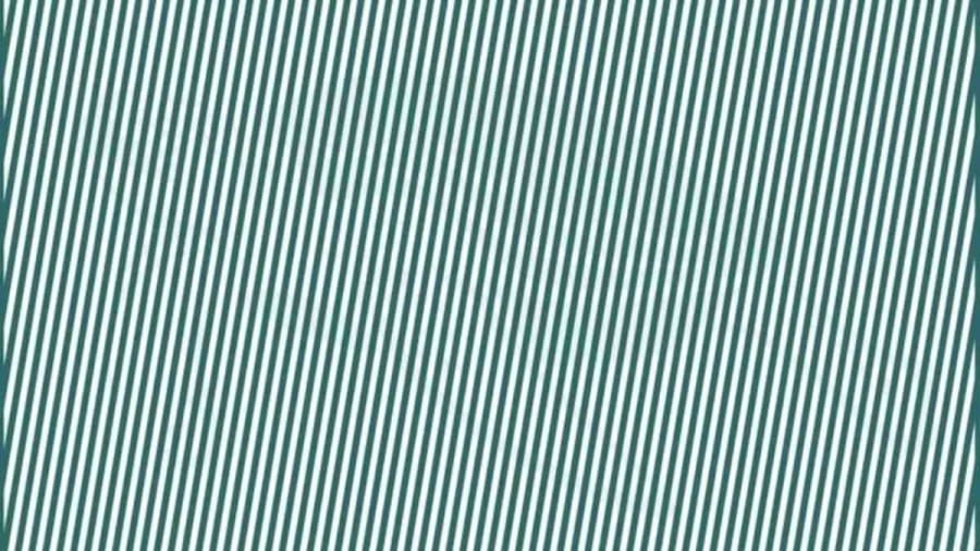 Only Hawk Eyes People can spot Hidden Turtle behind lines in 10 Secs – Explanation and Solution to this Turtle Optical Illusion