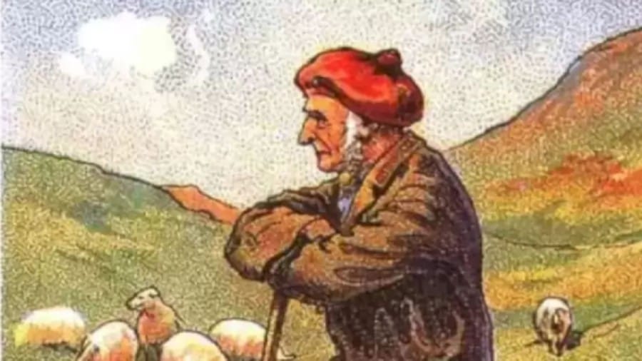 Optical Illusion Brain Test: Can you help the Shepherd to find his Dog?