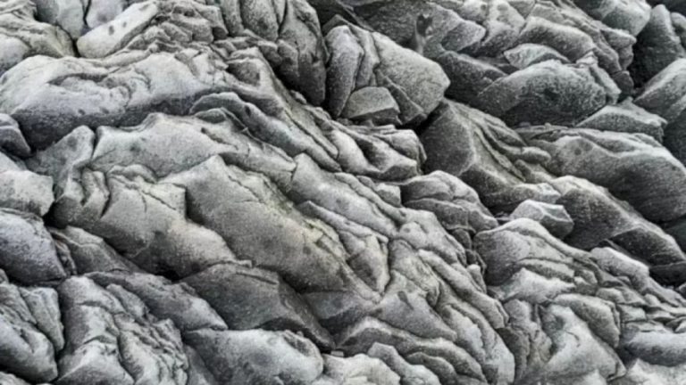 Optical Illusion Brain Test: In less than 15 Seconds find the Mountain Goat Here