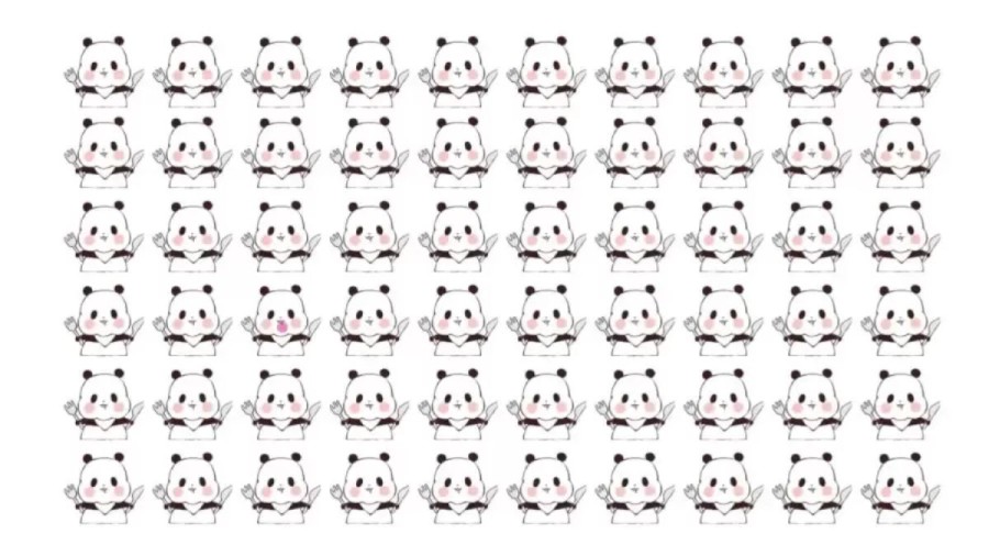 Optical Illusion: Can You Spot the Different Panda in 12 Seconds?