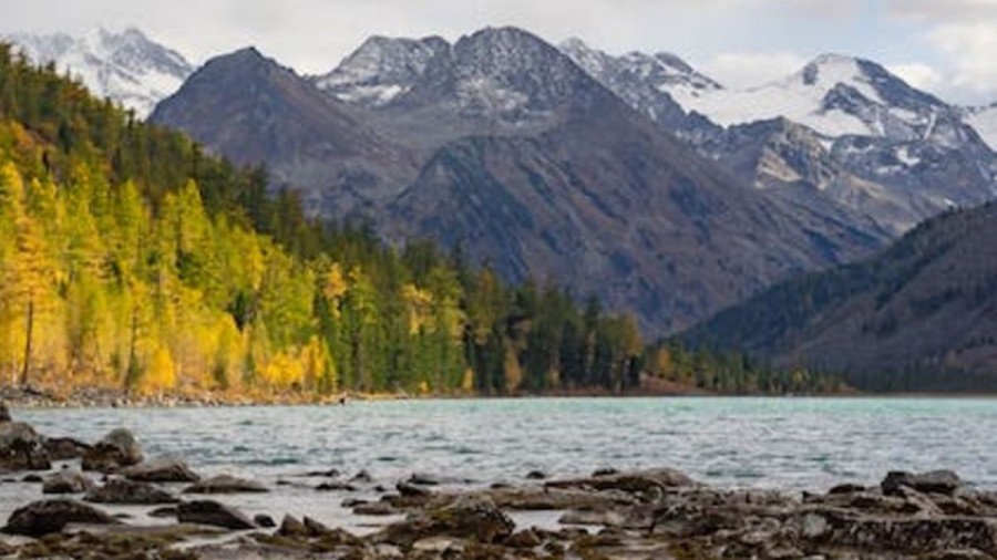 Optical Illusion Challenge: A Hippopotamus Is Staring At You From This Lake. Do You See It?