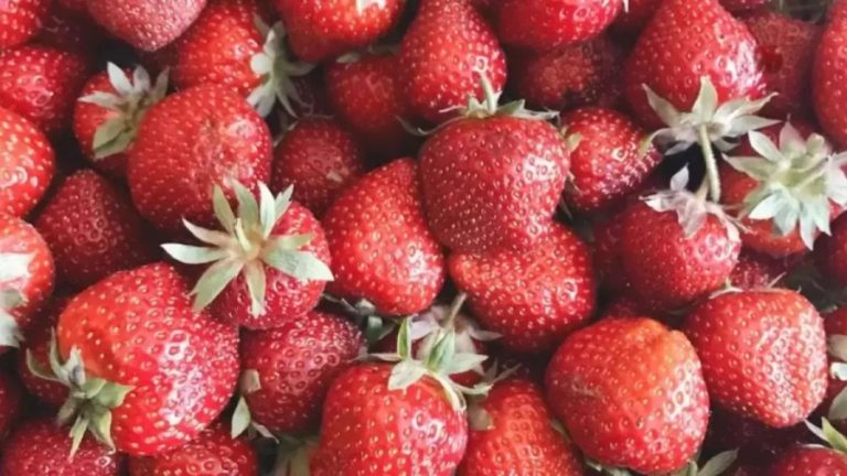 Optical Illusion Challenge: Can You Find the Odd Fruit in 10 Seconds?