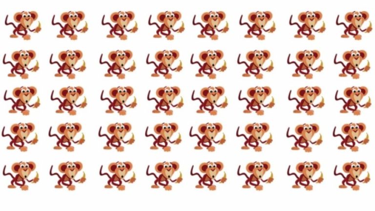 Optical Illusion Challenge: Can You Locate The Odd Monkey In This Picture In Less Than 20 Seconds?