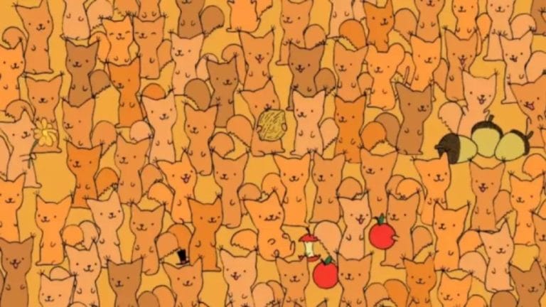 Optical Illusion Eye Test: Can You Spot The Hidden Mouse Among These Cats Within 22 Seconds?