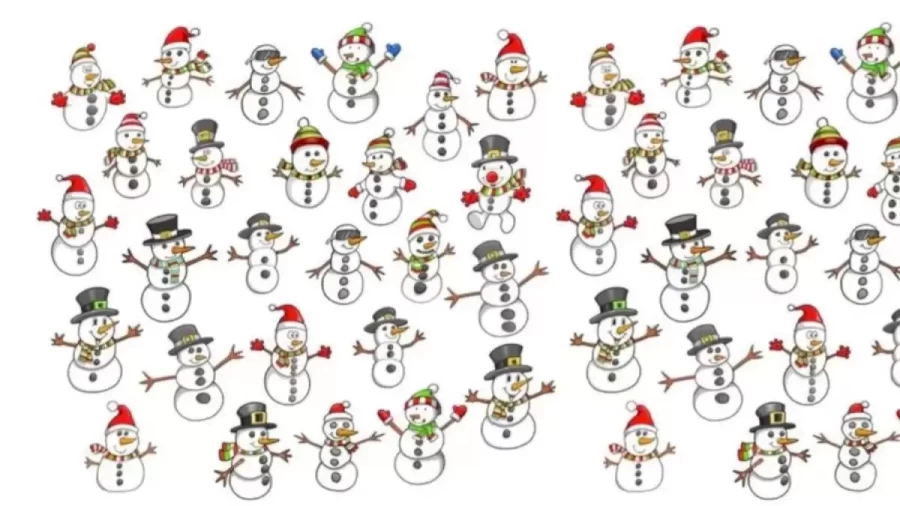 Optical Illusion Eye Test: Test Your Eye By Spotting The Two Similar Snowman In This Image In Less Than 18 Seconds