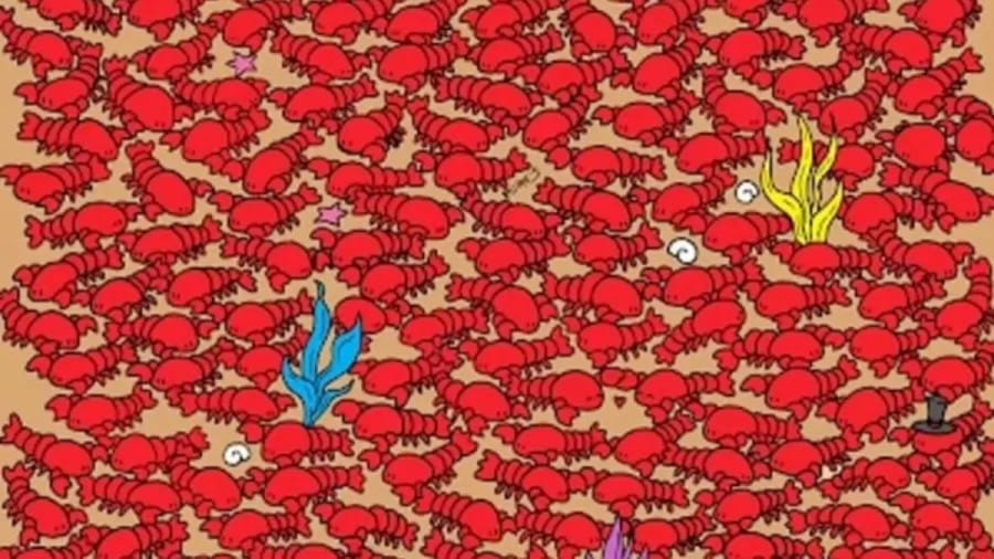 Optical Illusion Find and Seek: Only Hawk Eyes Can Find The Hidden Four Tiny Crabs Among The Lobsters In 40 Secs