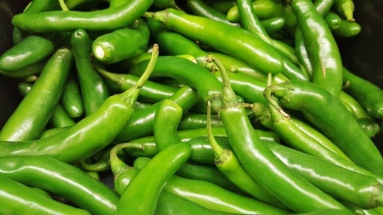 Optical Illusion: Hawk Eye People can find the hidden Green Beans within 10 Secs