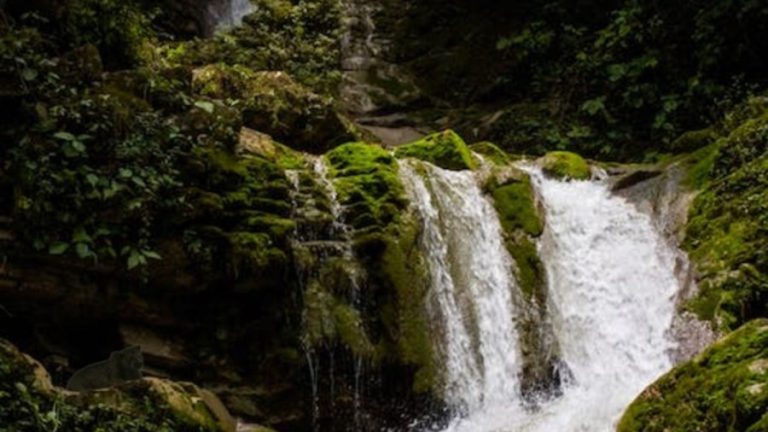 Optical Illusion Hide and Seek: Do You See The Hidden Black Panther in this Waterfalls?