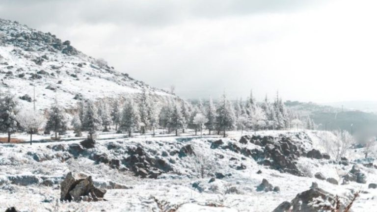 Optical Illusion: If You Manage To Locate The Arctic Wolf In This Snow Covered Mountain Within 20 Seconds You Have Eagle Eyes