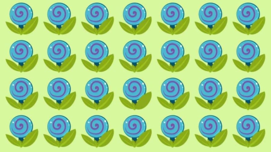 Optical Illusion: Only Genius Can Find the Hidden Candy Among the Blue Flowers within 15 seconds?