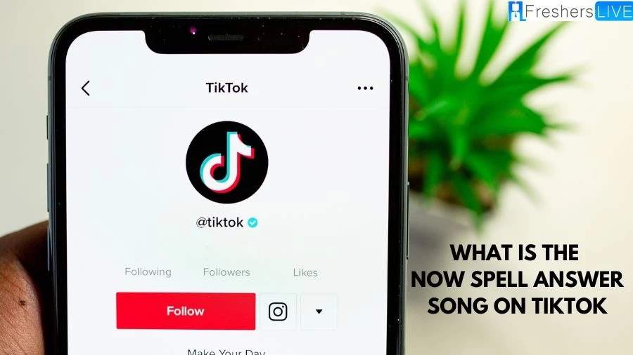 What Is The ‘now Spell Answer’ Song On Tiktok?