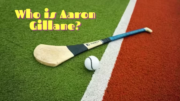 Who is Aaron Gillane? Aaron Gillane Bio, Playing Career, Statistics, Honours