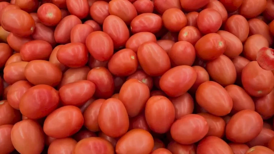 Pomegranate Search Optical Illusion: Find The Pomegranate Among These Tomatoes Within 13 Seconds