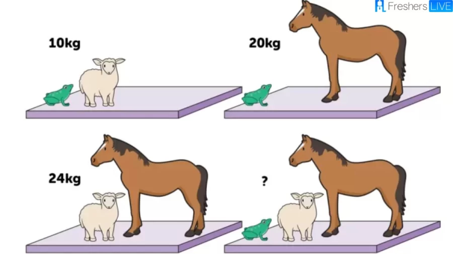 Brain Teaser Animal Maths Puzzle: Can You Guess The Weight Of Each Animal 28 Secs?