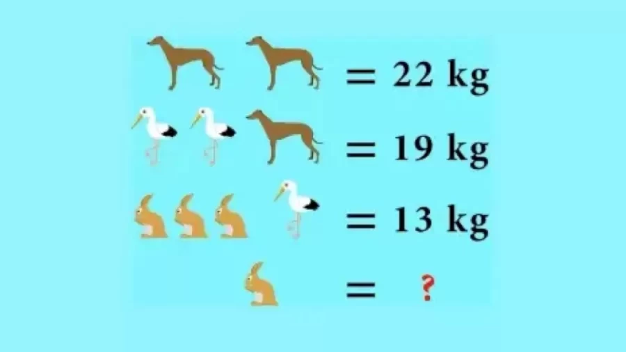 Brain Teaser – Can You Find The Weight Of The Rabbit In This Math Puzzle?