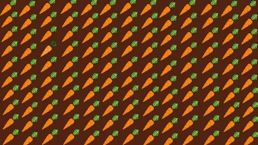 Brain Teaser Eye Test: Can You Locate The Odd Carrot In 12 Secs?