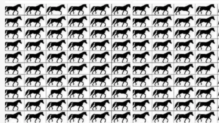 Brain Teaser Picture Puzzle: How Many Horses with 3 Legs?