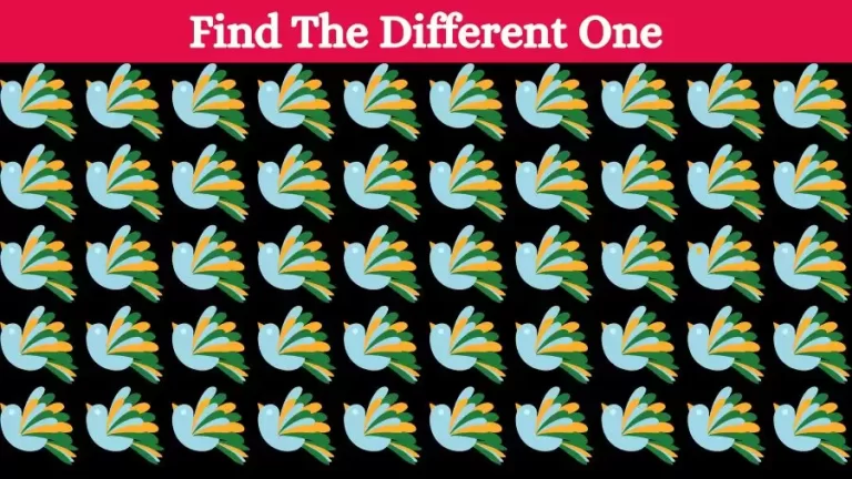 Brain Teaser Visual Test: Can you find the Odd One Out in this Picture in 13 Secs?