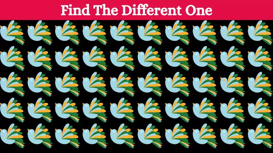 Brain Teaser Visual Test: Can you find the Odd One Out in this Picture in 13 Secs?