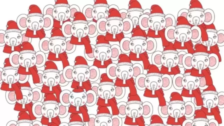 Can You Find The Elephant With A Beret In This Image Within 12 Seconds? Explanation And Solution To The Optical Illusion