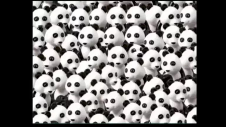 Can You Find The Hidden Puppy Among The Panda 22 Seconds? Explanation And Solution To The Puppy Optical Illusion