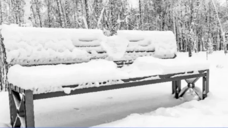 Can You Find The Hidden Rabbit Among Snow Within 10 Seconds? Explanation And Solution To The Rabbit Optical Illusion